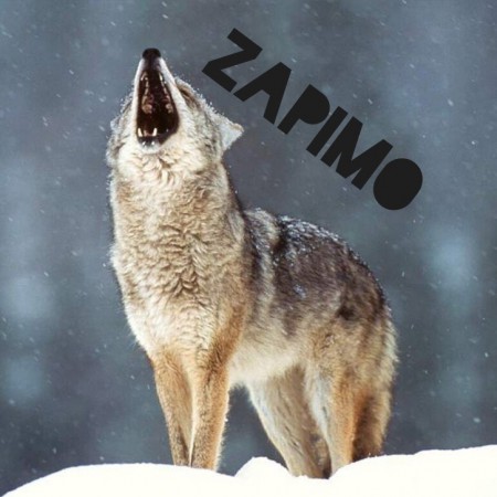 Le logo de zapimo